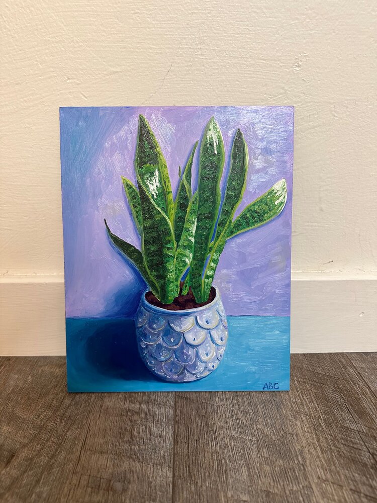 Snake Plant - 8x10 - oil on panel