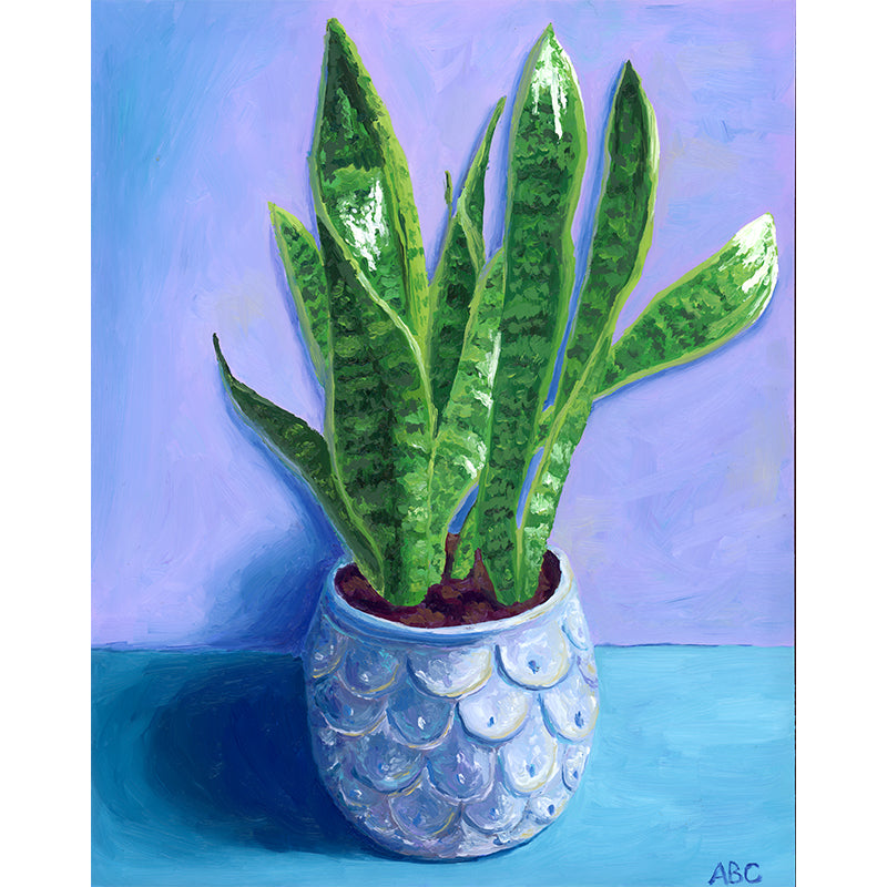 Snake Plant - 8x10 - oil on panel
