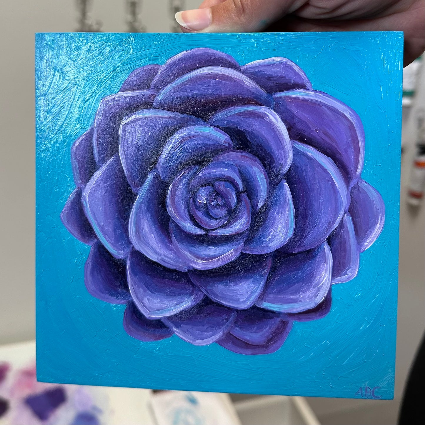 Teal Purple Succulent- 6x6 - oil on panel