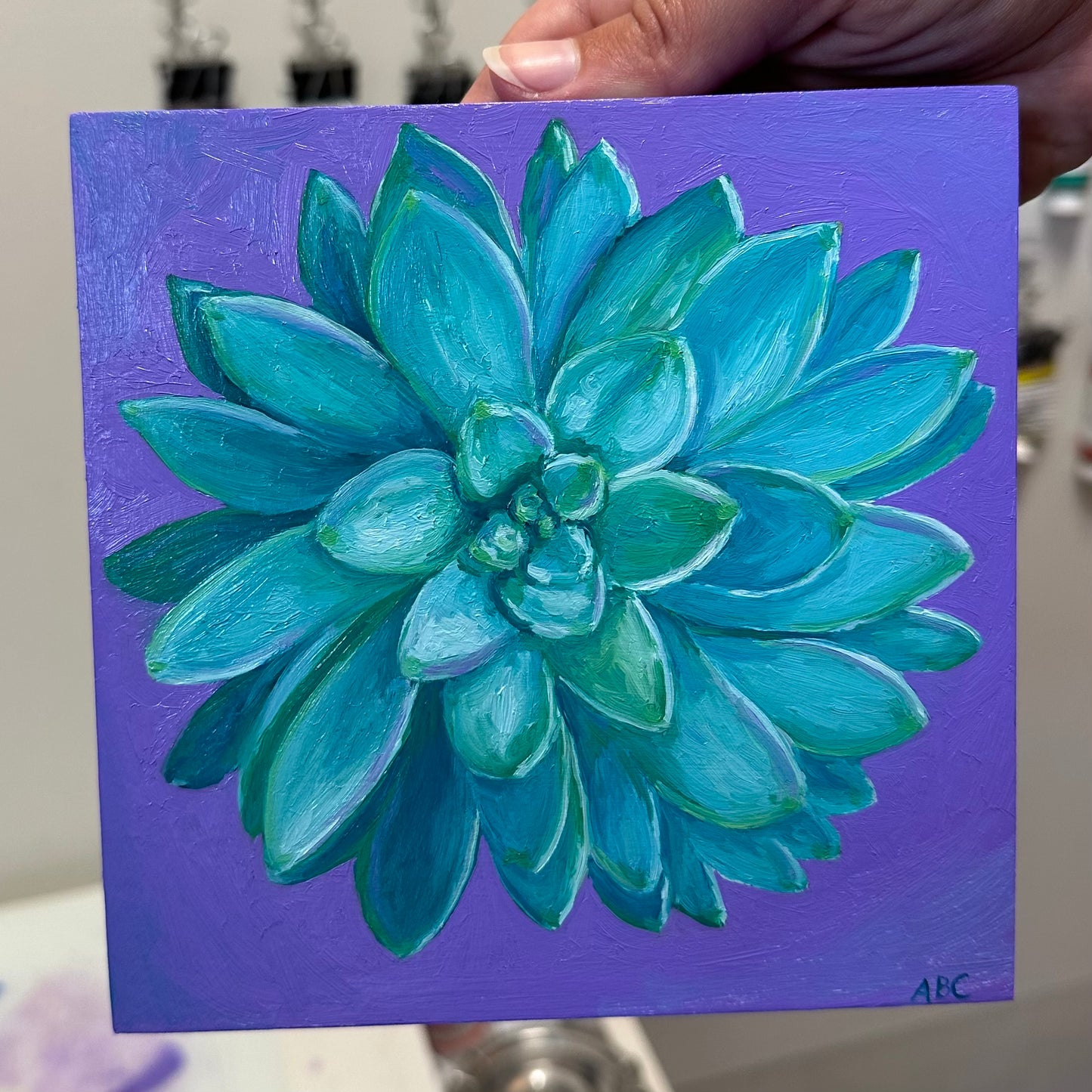 Purple Teal Succulent- 6x6 - oil on panel