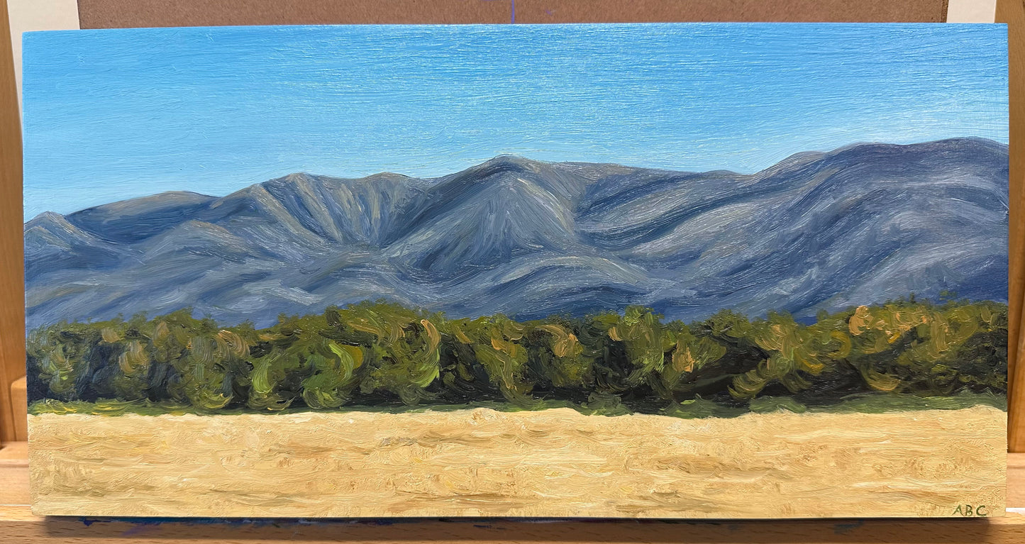 Mountains from Ellwood - 6x12 - oil on panel