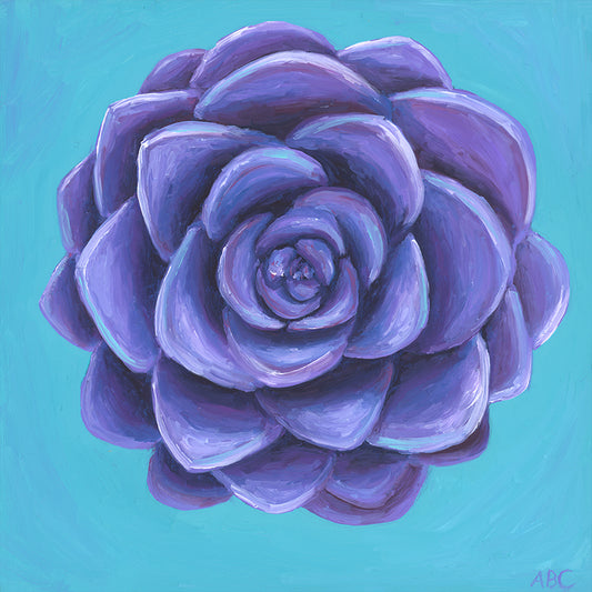 Teal Purple Succulent - Fine Art Print