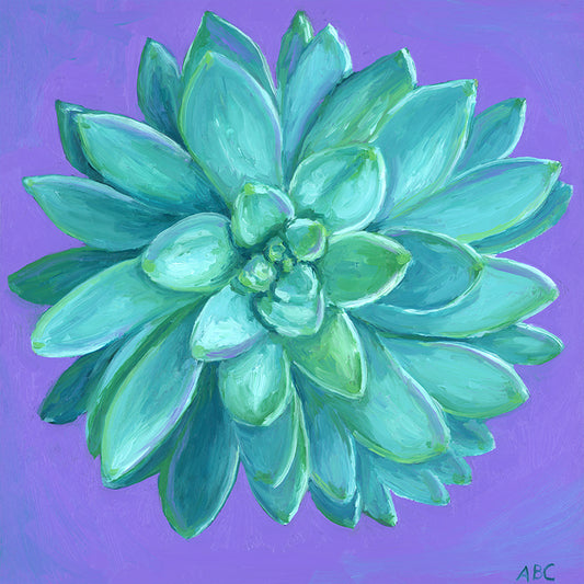 Purple Teal Succulent - Fine Art Print