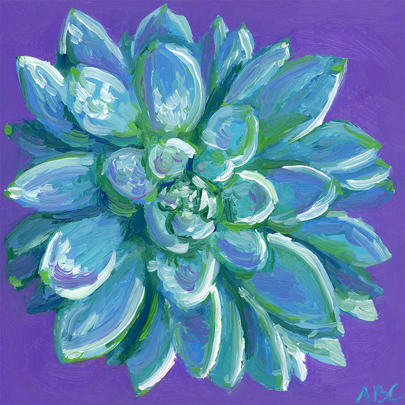 Lil Teal Succulent - 4x4 - oil on panel